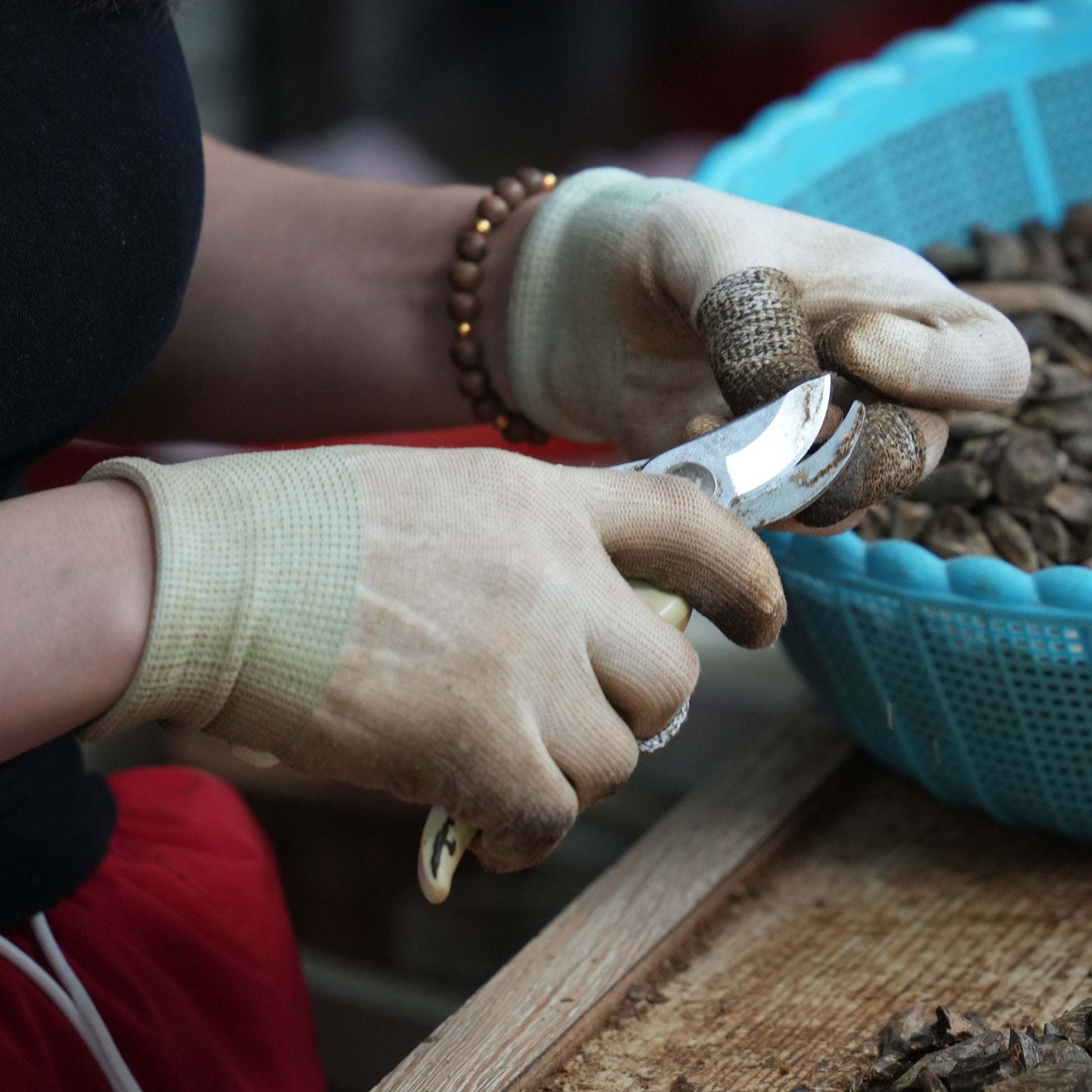 Premium Agarwood Chips | Ancient Traditional Fragrance 🌟