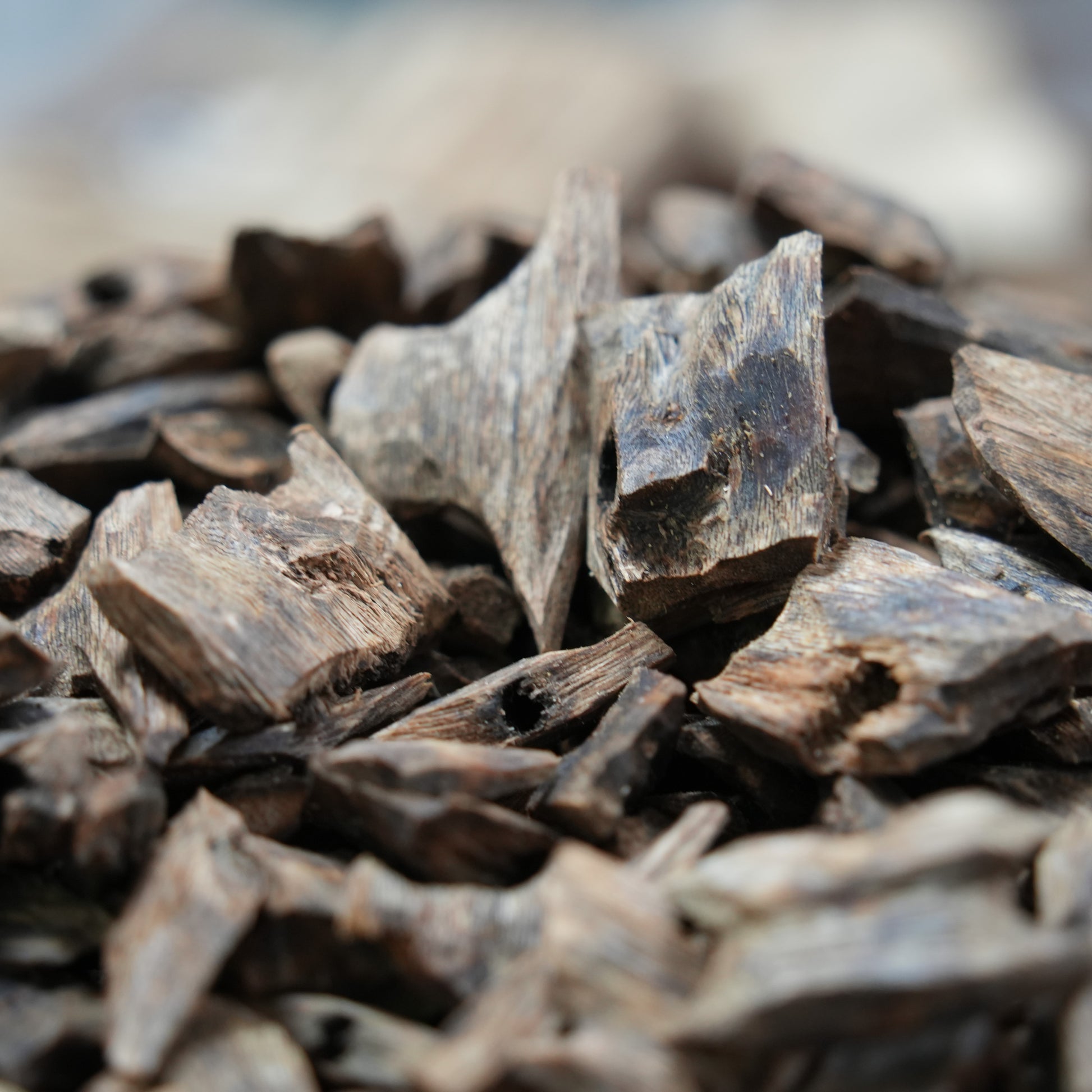 Agarwood Chips 🌿 | Middle Eastern special aroma experience