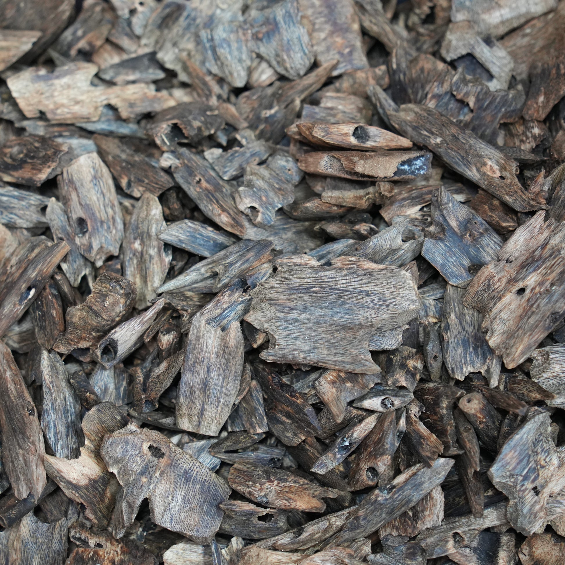 Agarwood Chips 🌿 | Middle Eastern special aroma experience
